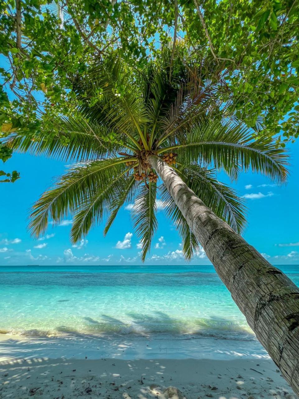 Infinite Lagoon Mandhoo エクステリア 写真